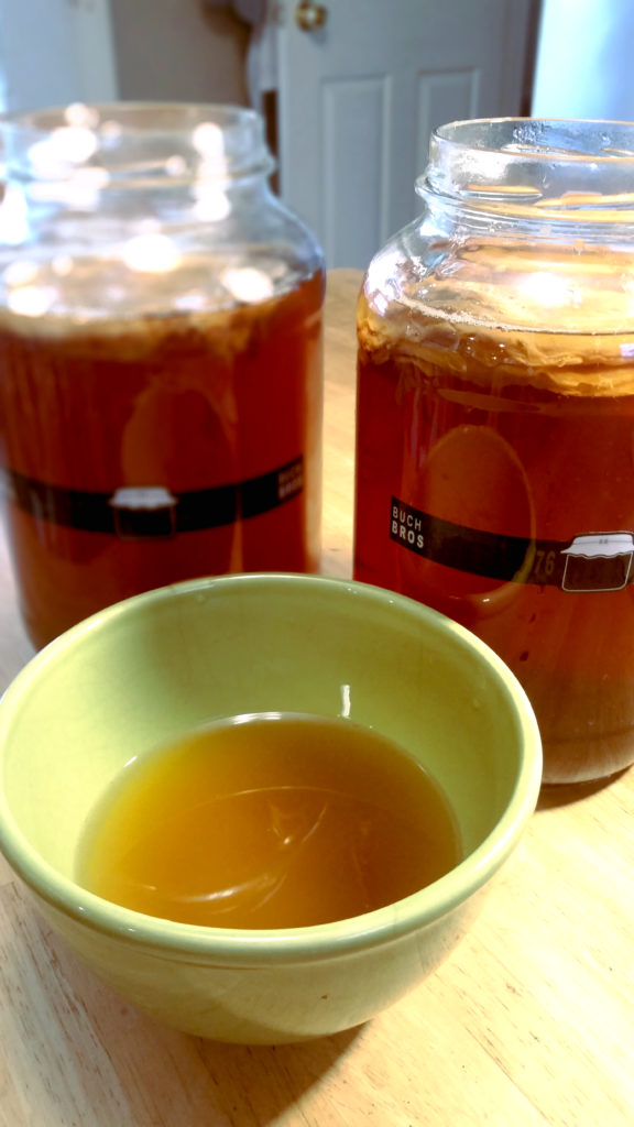 Homemade Kombucha Tea Recipe probiotic