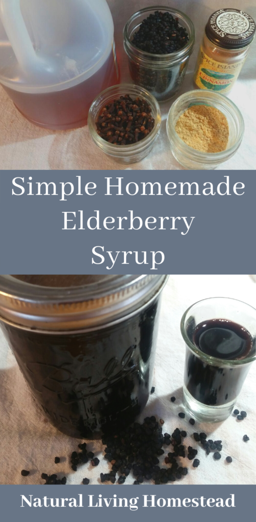 immune boosting elderberry syrup