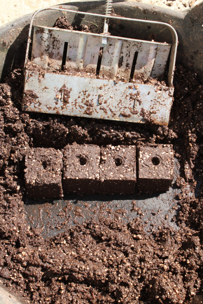 making soil blocks