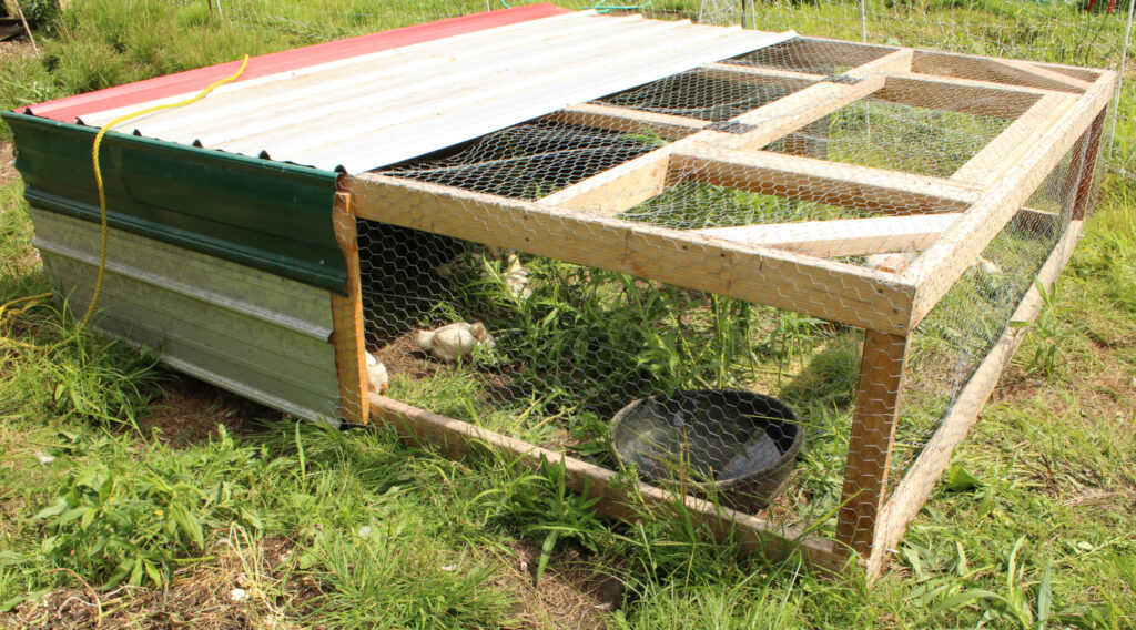 Adding the fencing to the chicken tractor