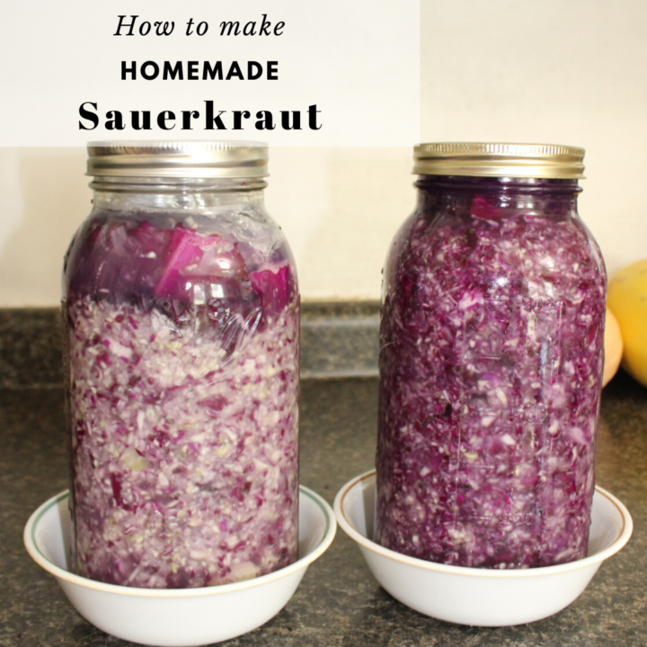 Homemade Sauerkraut