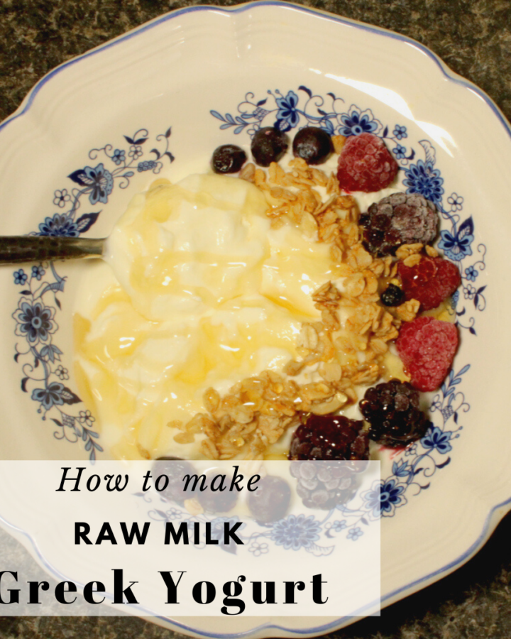 Raw Milk Greek Yogurt in the instant pot