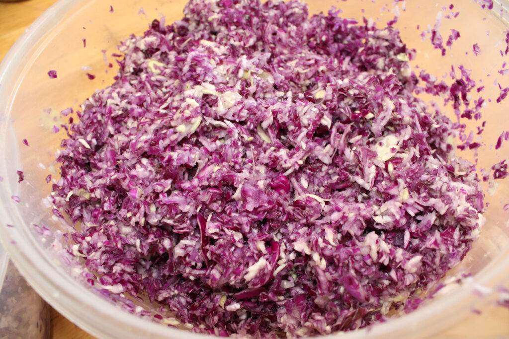 finely shredded cabbage mixed with salt