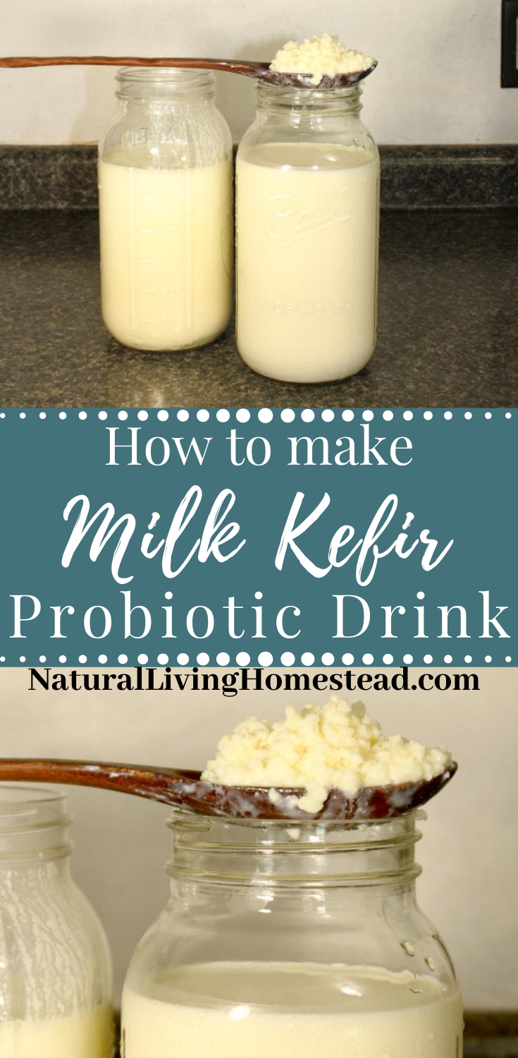 How to make Milk Kefir - Natural Living Homestead