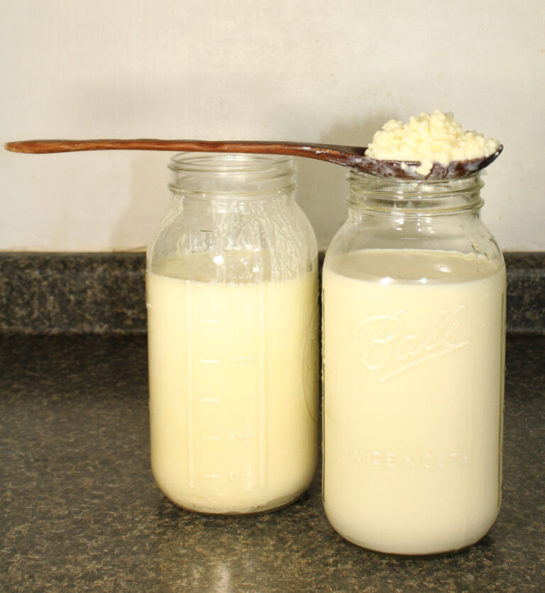 How to make Milk Kefir - Natural Living Homestead