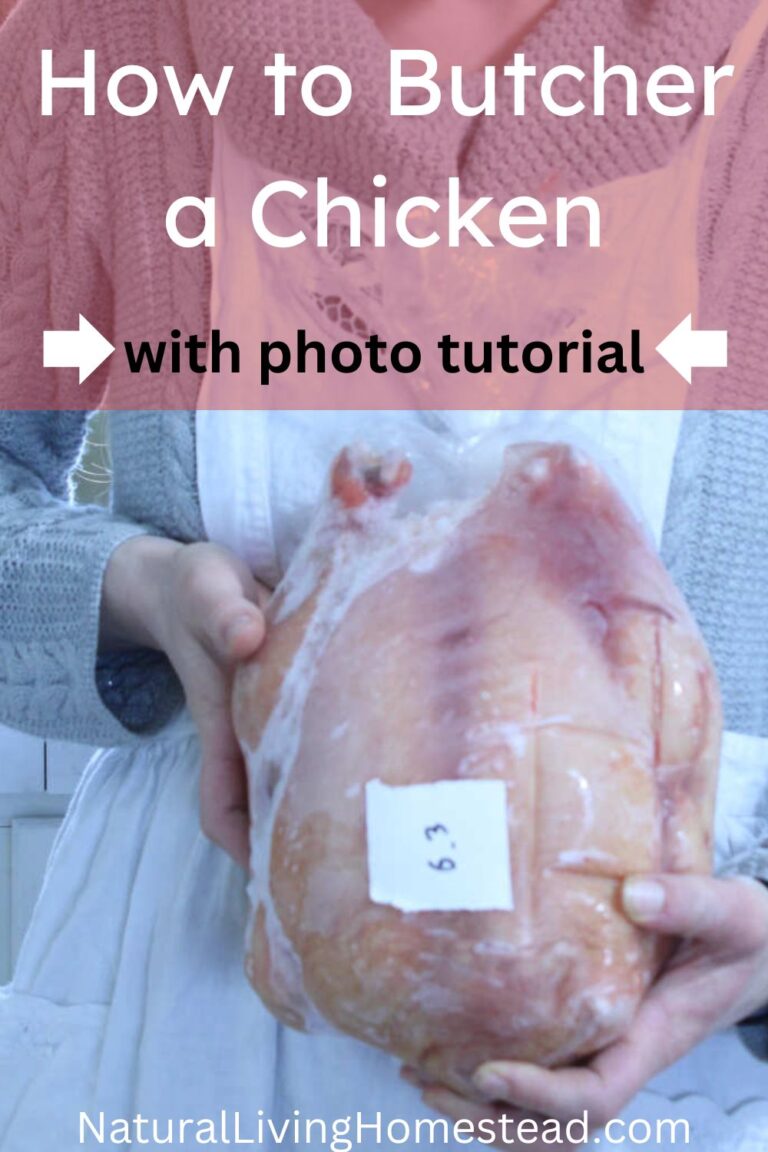 How To Butcher A Chicken - Natural Living Homestead