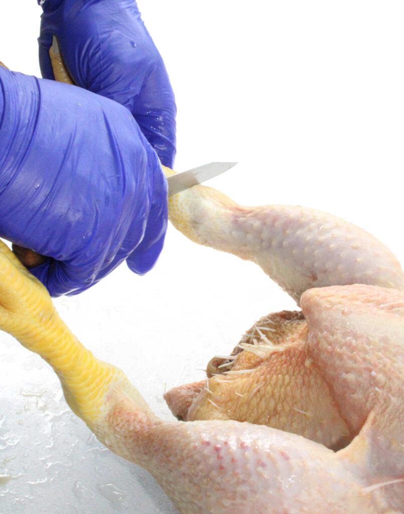 person preparing to cut off the chicken leg