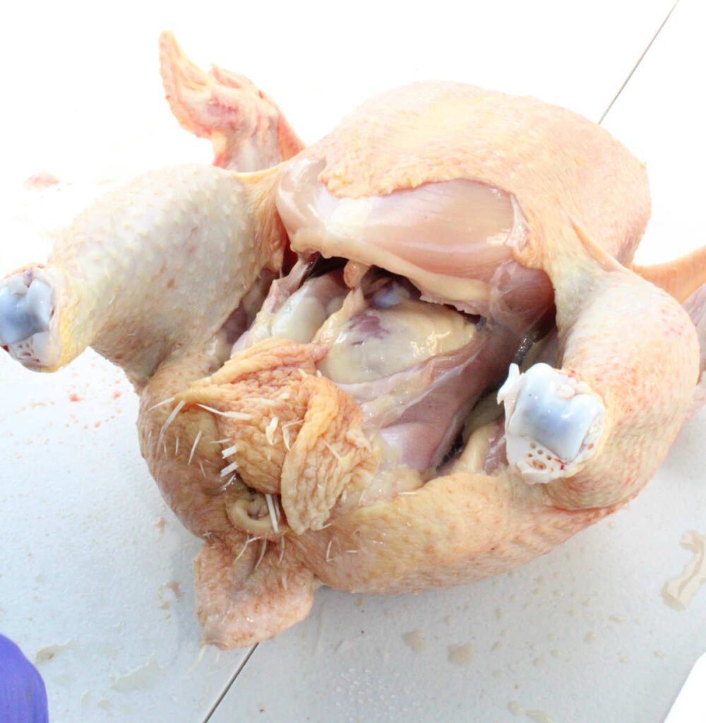 opening up the chicken cavity to remove the innards