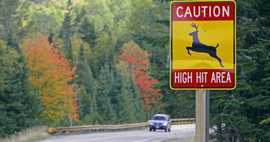 a high hit deer warning sign