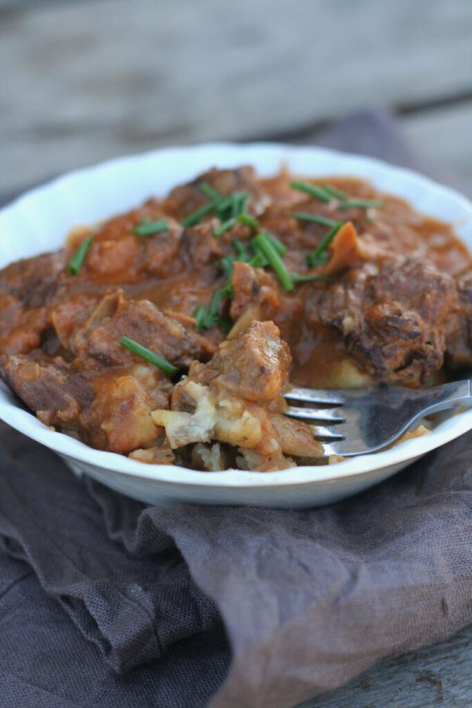 stroganoff recipe made with moose meat