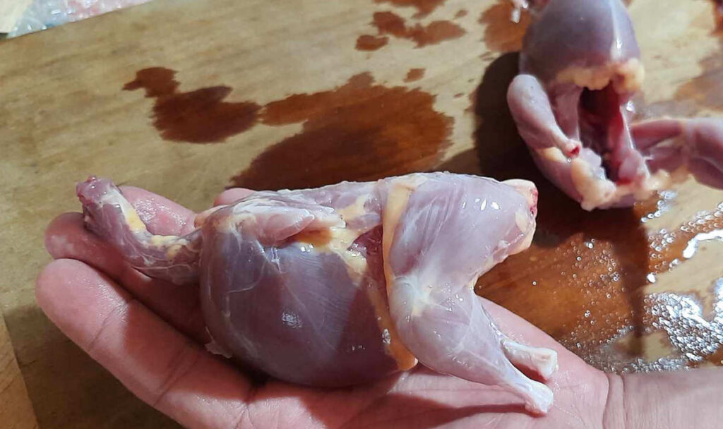 butchering quail skin removed and body placed in hand for size comparison