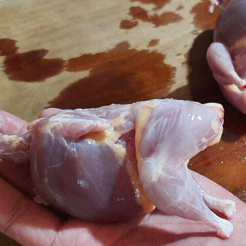 butchering quail skin removed and body placed in hand for size comparison