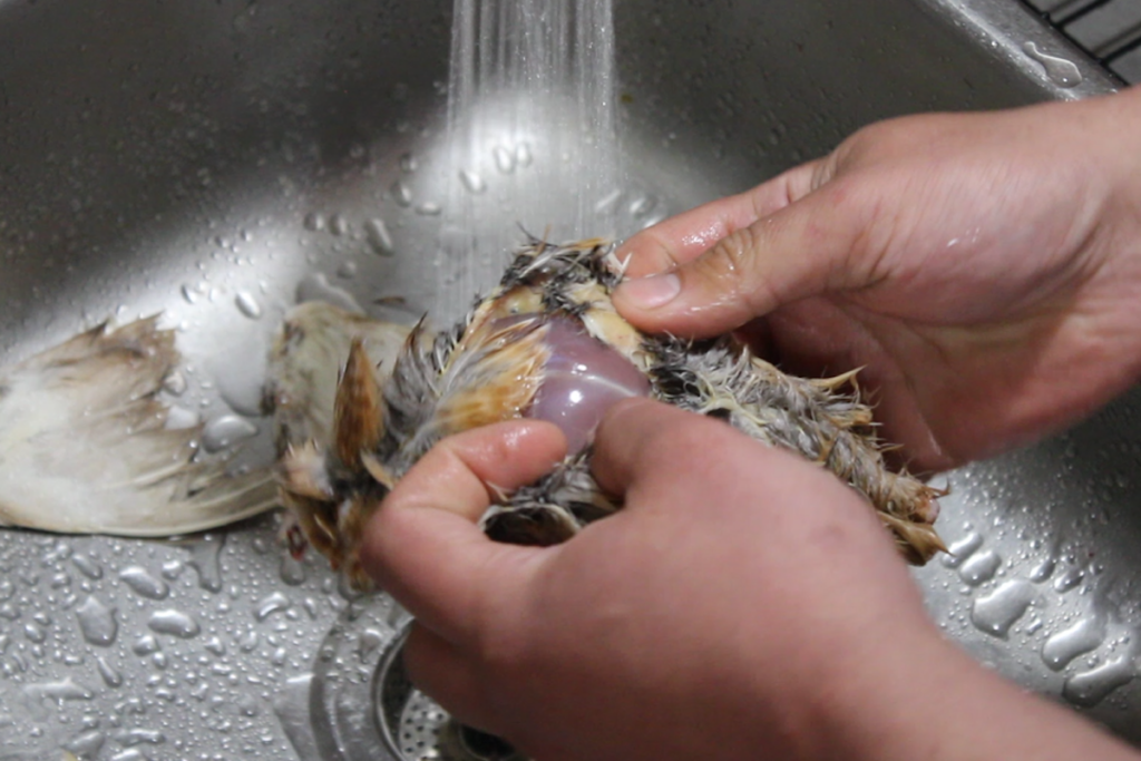 butchering quail removing the skin