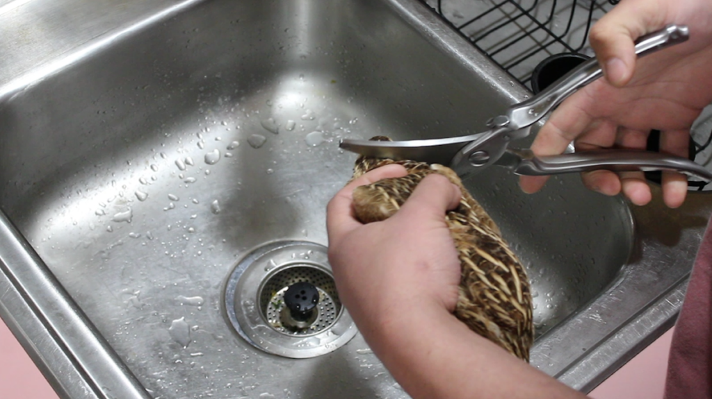 butcher quail removing the head