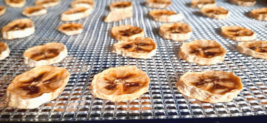 dehydrator bananas chips on dehydrator tray