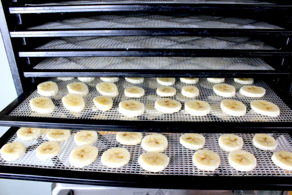 bananas sliced and put in the dehydrator on trays